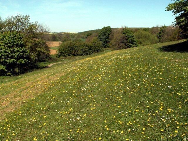 Longfields Parkland Darton The River Dearne is to the left of the photo along the line of trees.