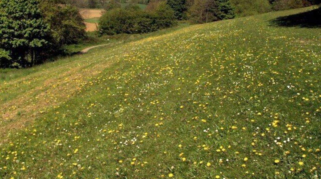 Longfields Parkland Darton The River Dearne is to the left of the photo along the line of trees.