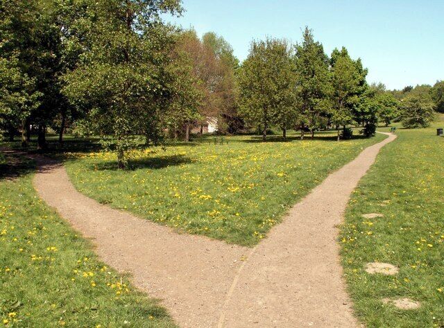 Darton Park Part of the Longfields.