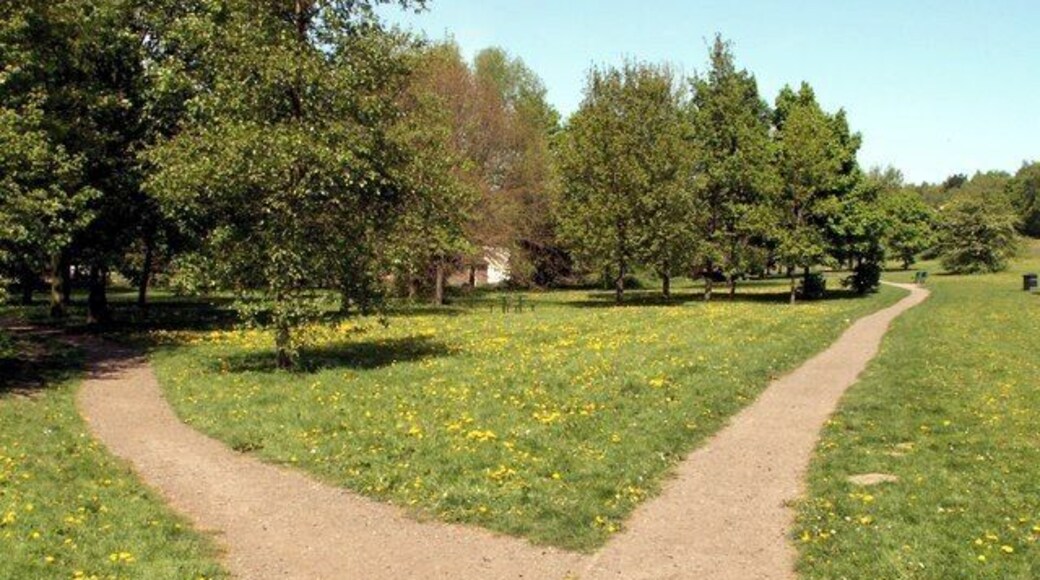 Darton Park Part of the Longfields.