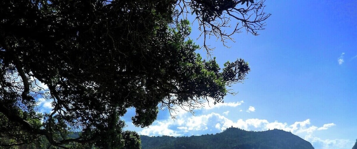 A beautiful white sand beach that is only accessible via boat or 30 minute walk through the bush.
A little piece of paradise untouched by developers!
#beach