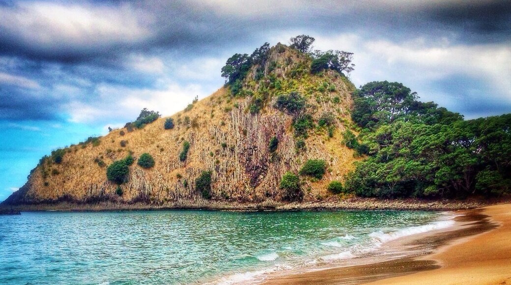 New Chums Beach on the Coromandel. Not easy to find or get to, but I reckon it might be one of the most beautiful beaches in New Zealand. Had the place to myself last night, and you know what that means! #skinnydipping