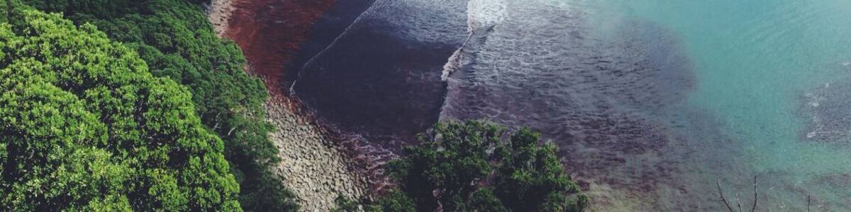 Not that hard to reach, unless you want a view like this. The red stuff comes from the hurricane. Normally it's all blue.
#beach