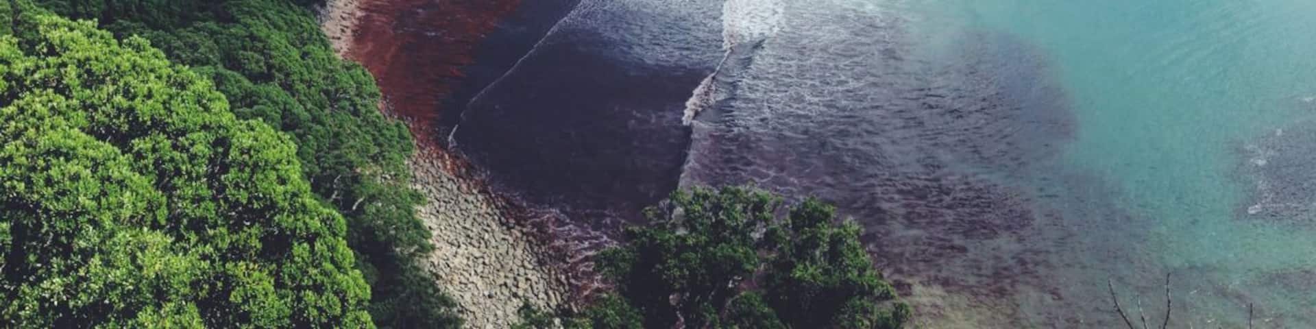 Not that hard to reach, unless you want a view like this. The red stuff comes from the hurricane. Normally it's all blue.
#beach