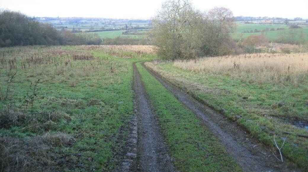 View near Darklane Copse. Darklane Copse is on the left, and the view is looking north with the track leading down to the sewage farm in the adjacent square.