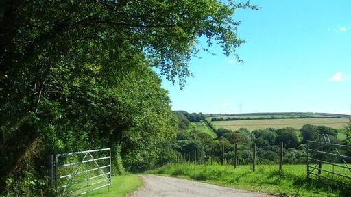 Road to Helligan Barton A bridleway runs alongside on the left in the woods.