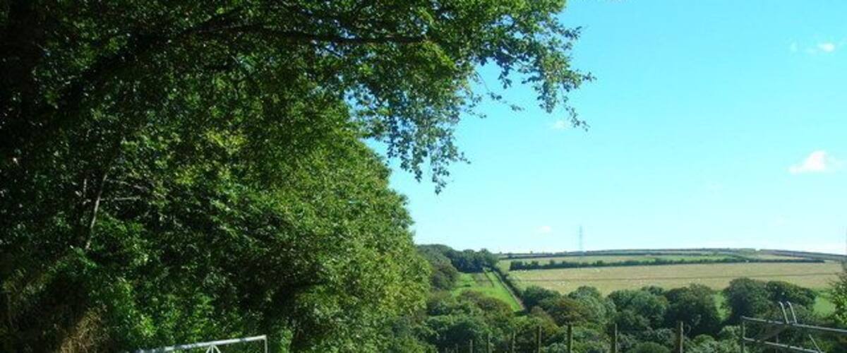 A gravel road leading through a rural area with a metal gate, surrounded by greenery and a clear sky.