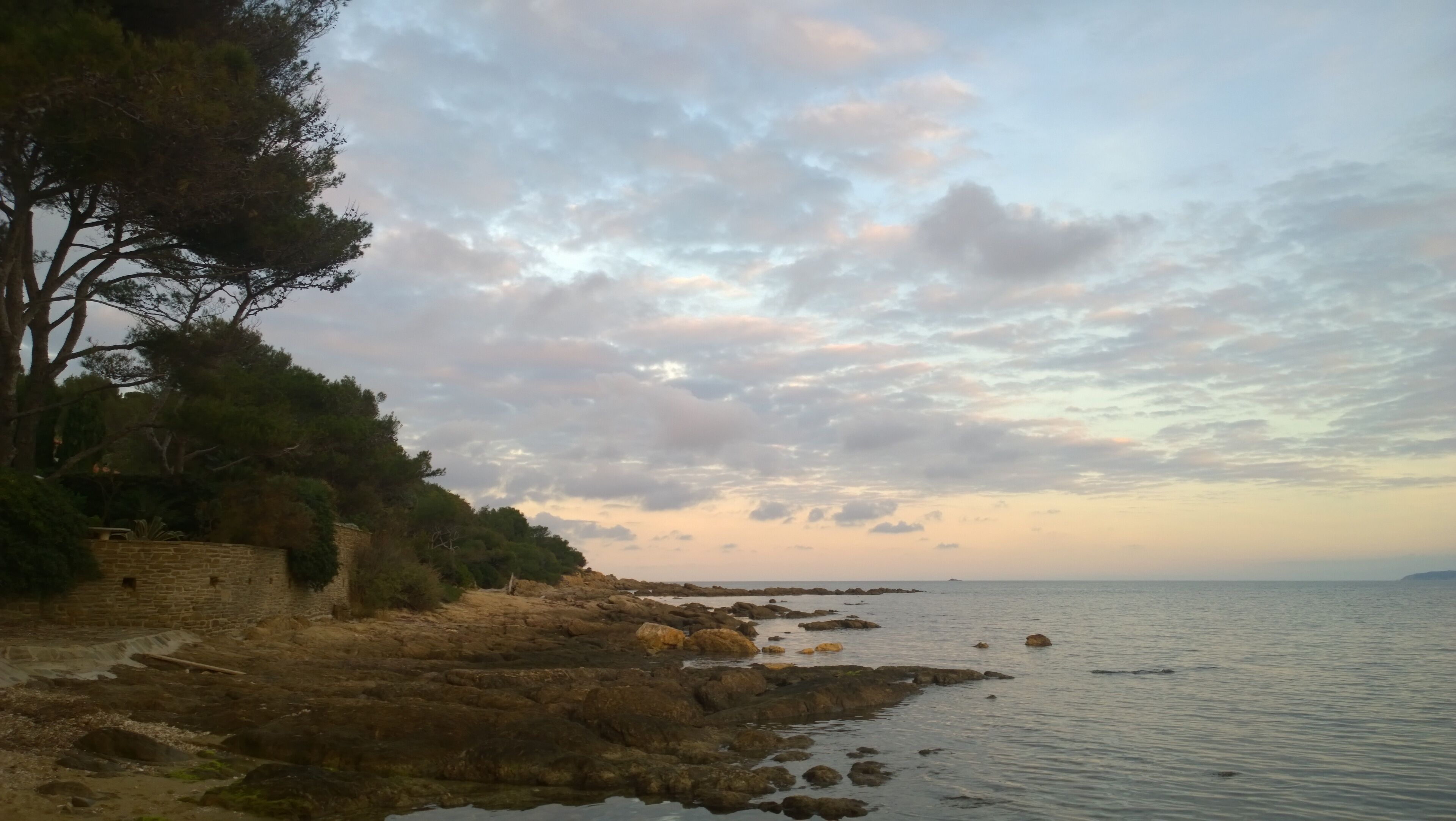 A rocky shoreline with trees and a stone wall.