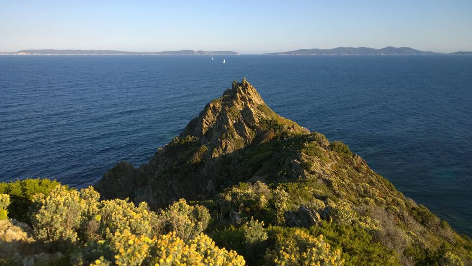 83230 Bormes-les-Mimosas, France