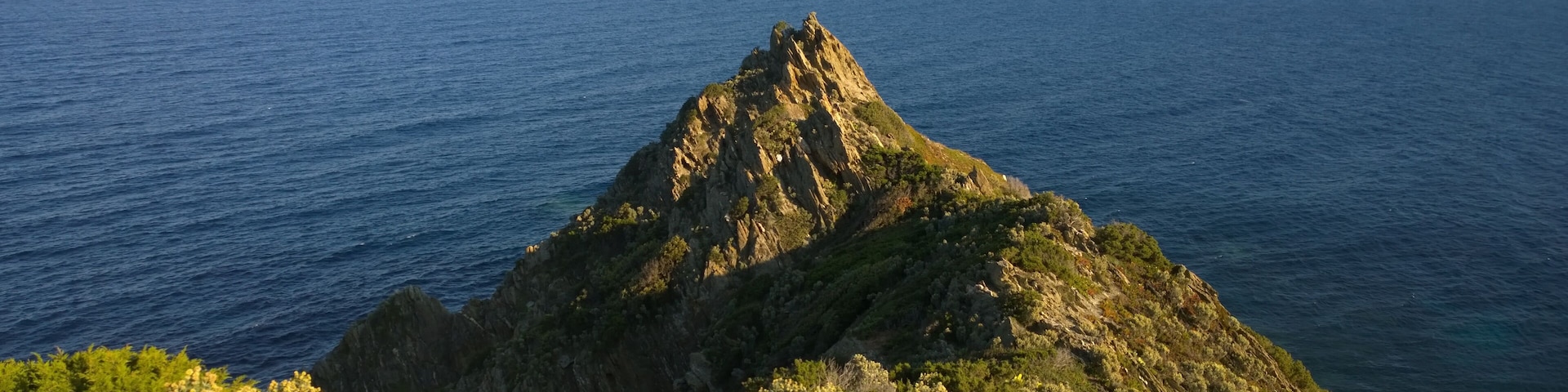 83230 Bormes-les-Mimosas, France