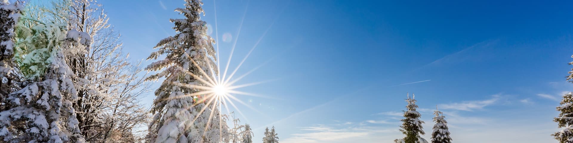 A snow-covered landscape with a clear sky, a sun shining through the trees, and a path leading through the trees.