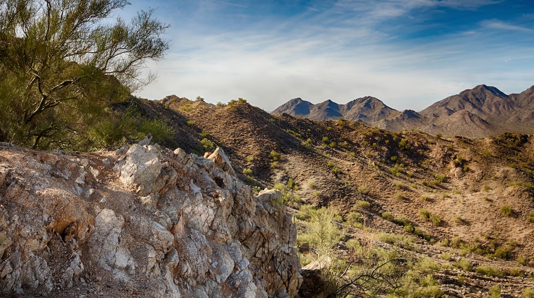 View from Goldmine Peak