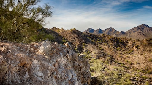 View from Goldmine Peak