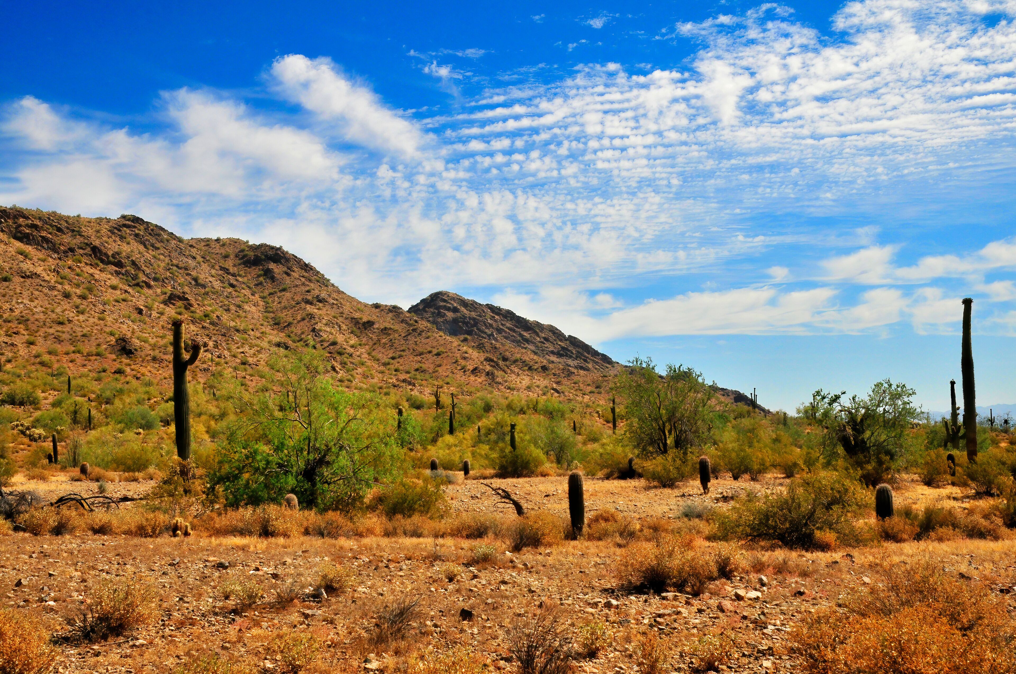 San Tan Mountains Sonora Desert Arizona