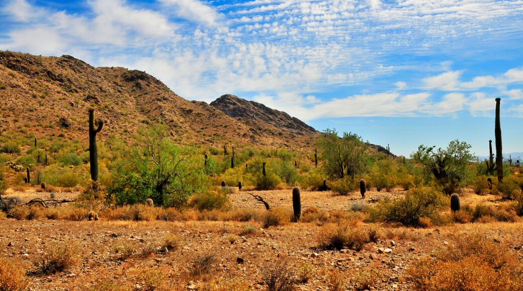 San Tan Mountains Sonora Desert Arizona