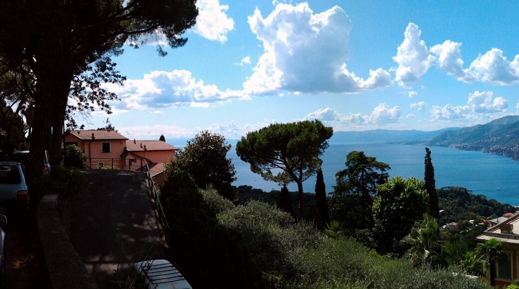 Panoramica da San Rocco di Camogli