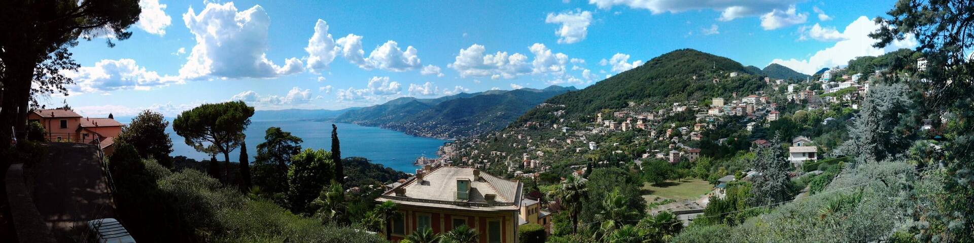 Panoramica da San Rocco di Camogli