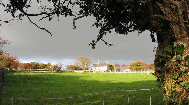 A rural landscape with a green field, a white fence, and a tree with ivy.