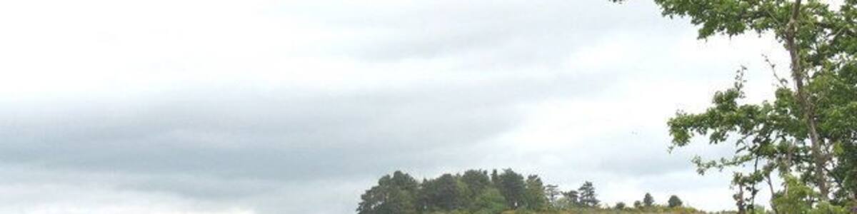 Dinas Dinorwig. An Iron Age fort at SH549653.