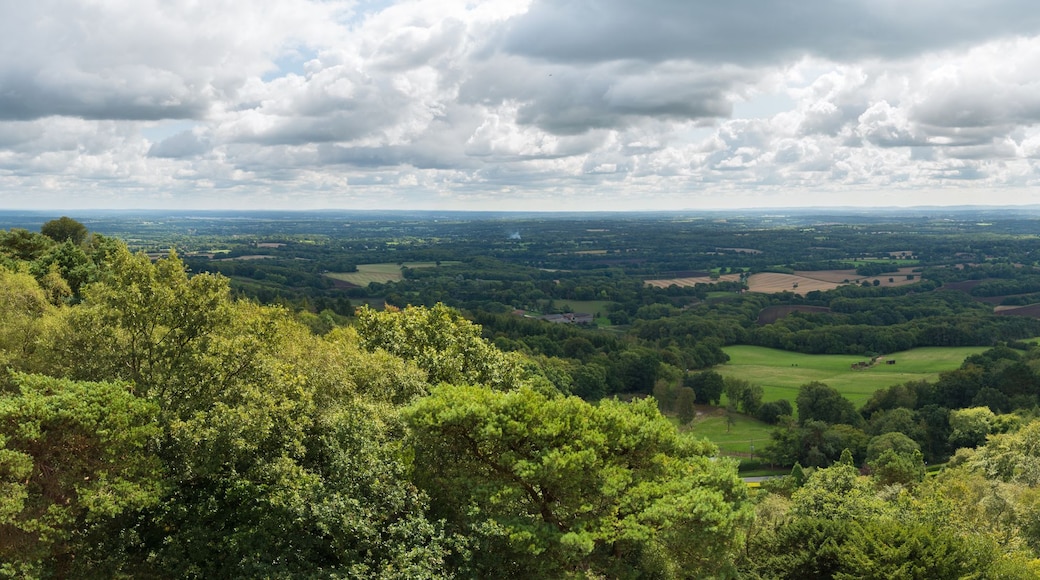 Una valle lussureggiante con fitte foreste, dolci colline e una lontana vista su un paesaggio piatto sotto un cielo nuvoloso.