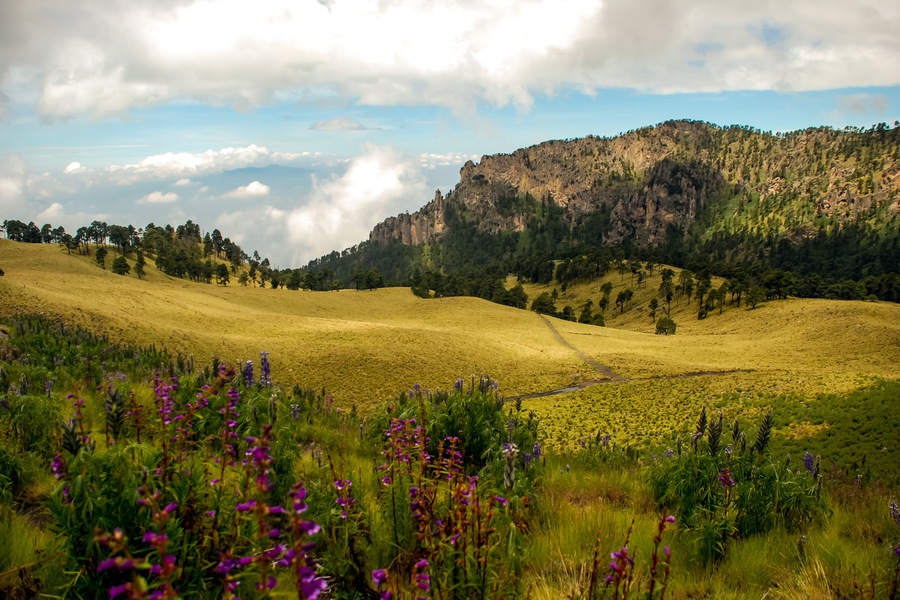 Landscape in Mexico