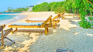 Una playa con sillones de madera y una vista despejada del océano.
