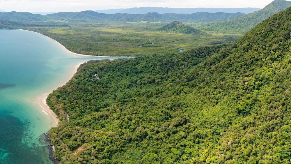 Rainforest meets the reef in the tropical Daintree National Park