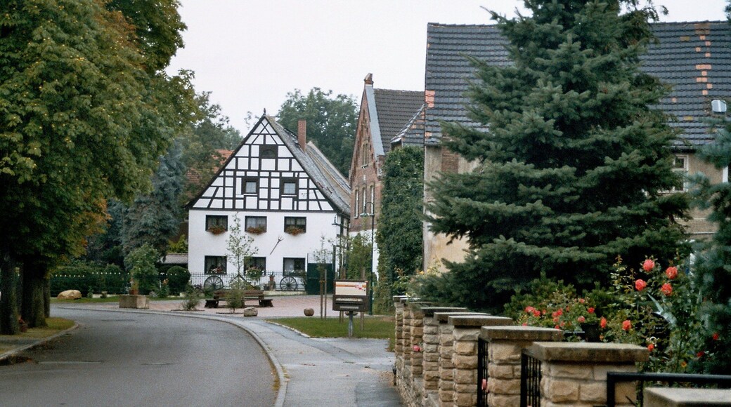 Trebnitz (Teuchern), villagescape