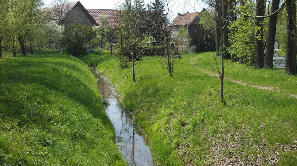 Nessa stream at Dippelsdorf (Teuchern, district: Burgenlandkreis, Saxony-Anhalt)