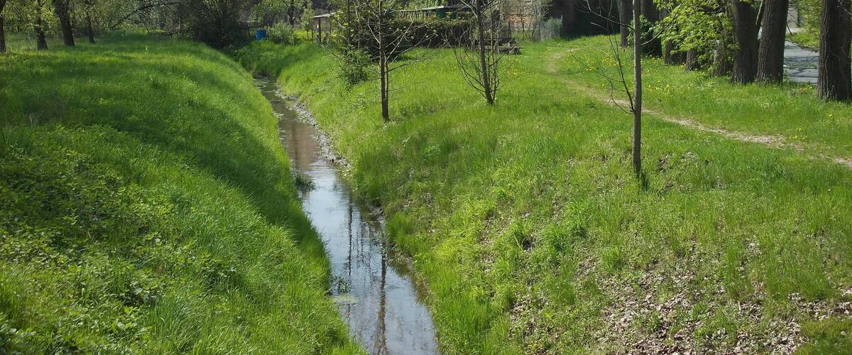 A narrow stream meandering through a lush green landscape with trees and a stone building in the background.