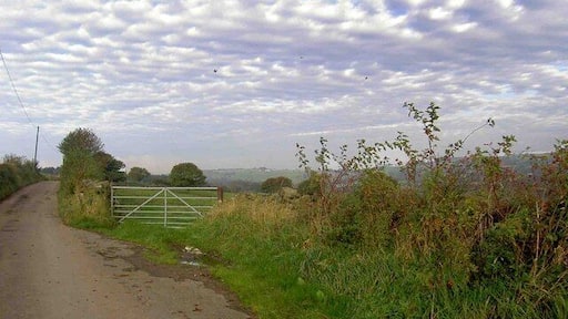 Mackerel sky Gate on Midhope Hall Lane.