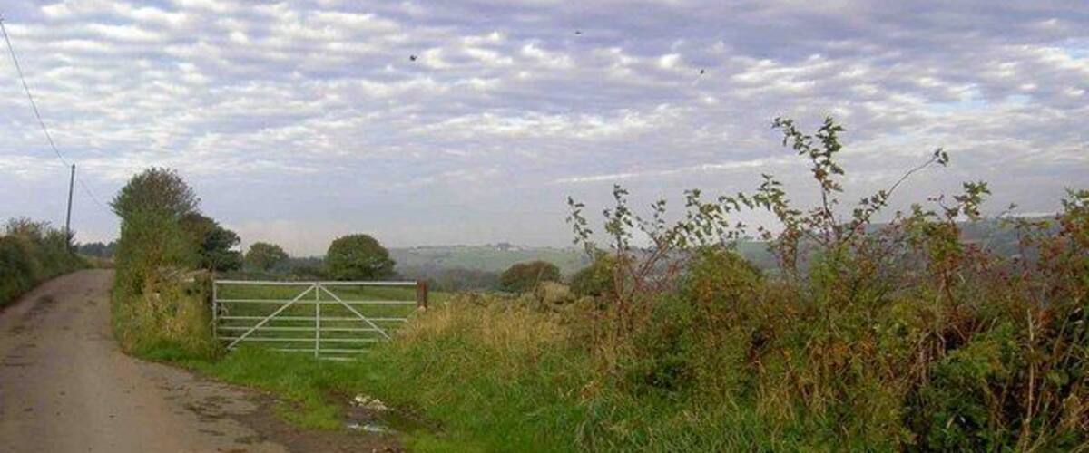 A rural road with a metal gate, surrounded by greenery and a cloudy sky.