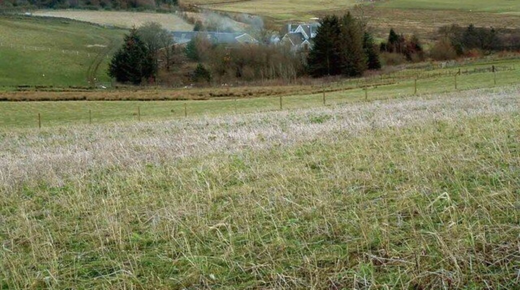 Thorntonhill Farm Bonfire smoke drifts over Thorntonhill Farm.