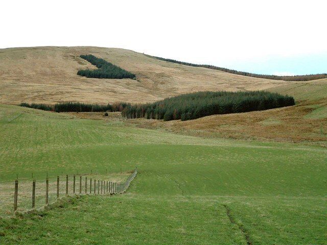 Lendrick Hill View North west to slopes of Lendrick Hill NO0203. Rough grazing and small plantations of forestry.