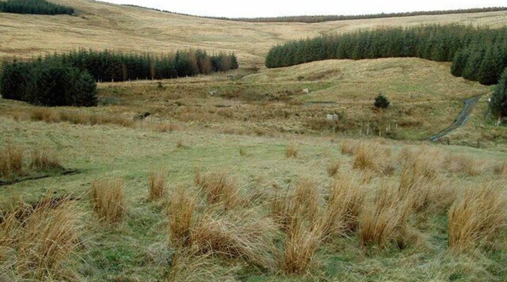 Rough Grazing and Woodland Rough Grazing and woodland. There is a pond area at two levels in the gap between the trees.