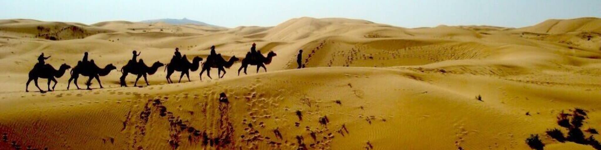 The Ordos Desert is almost completely encircled by the Great yellow river in the west, north, and east. Mountain ranges separate the Ordos from the Gobi desert.