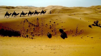 The Ordos Desert is almost completely encircled by the Great yellow river in the west, north, and east. Mountain ranges separate the Ordos from the Gobi desert.