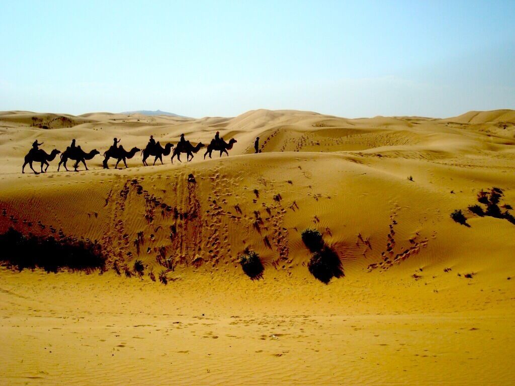 A group of people riding camels across a desert landscape with sand dunes.