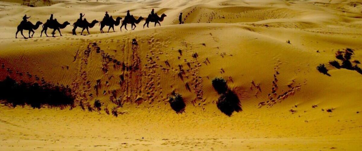 A group of people riding camels across a desert landscape with sand dunes.
