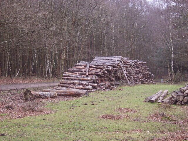 Log pile - Copythorne Common clearance works