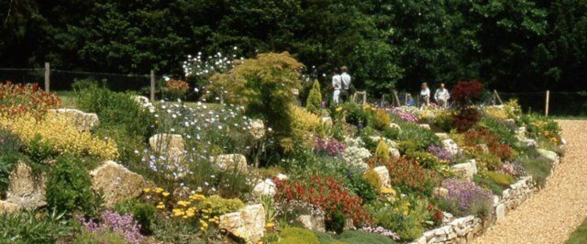 A landscaped garden with various flowering plants and a stone retaining wall.