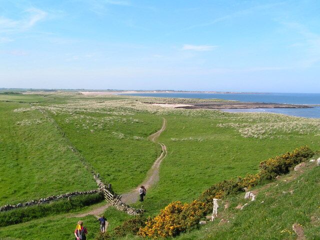 A coastal landscape with a winding path, stone wall, and a view of the sea.