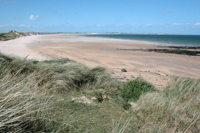 A sandy beach with dunes and a clear blue sky.