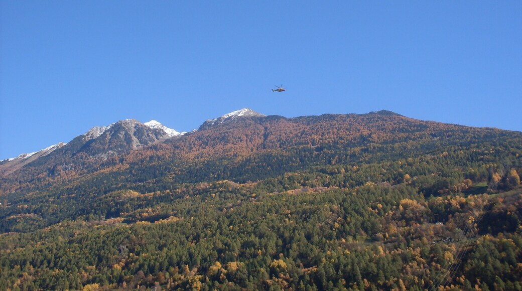 parco delle Orobie Valtellinesi (Q1122233)