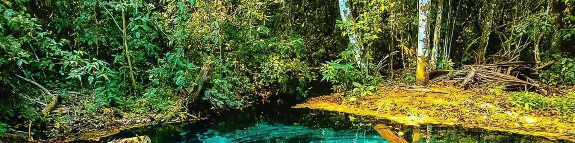 This is at #Nobres at #MatoGrosso in #Brazil
To get to it should ask for flotation ride.
You can see 6 meters under water with no dificult
#ReDiscover
#dive
#Culture
#1aviagem
#MT