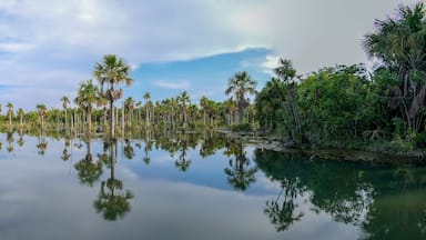 Panorama of beautiful Lagoa das Araras at sunset time, Bom Jardim, Mato Grosso, Brazil