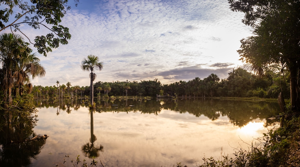 ๋
ธ๋ธ๋ฆฌ์ค