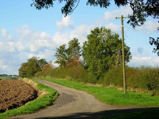 Uma estrada rural serpenteia por um campo, com um poste de eletricidade e árvores ao fundo.