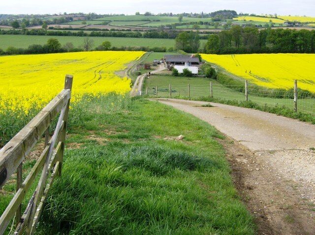 Farm near Langland's Plantation This farm does not appear to be named. Langland's Plantation, named on 1:25K map, is beyond the rape field on the right and is at the northern extremity of the square. The railway embankment in the middle distance is in the next square and carries to Rugby to Northampton railway.