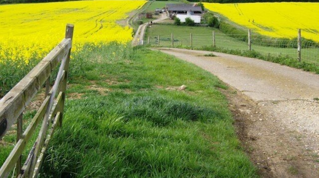 Farm near Langland's Plantation This farm does not appear to be named. Langland's Plantation, named on 1:25K map, is beyond the rape field on the right and is at the northern extremity of the square. The railway embankment in the middle distance is in the next square and carries to Rugby to Northampton railway.